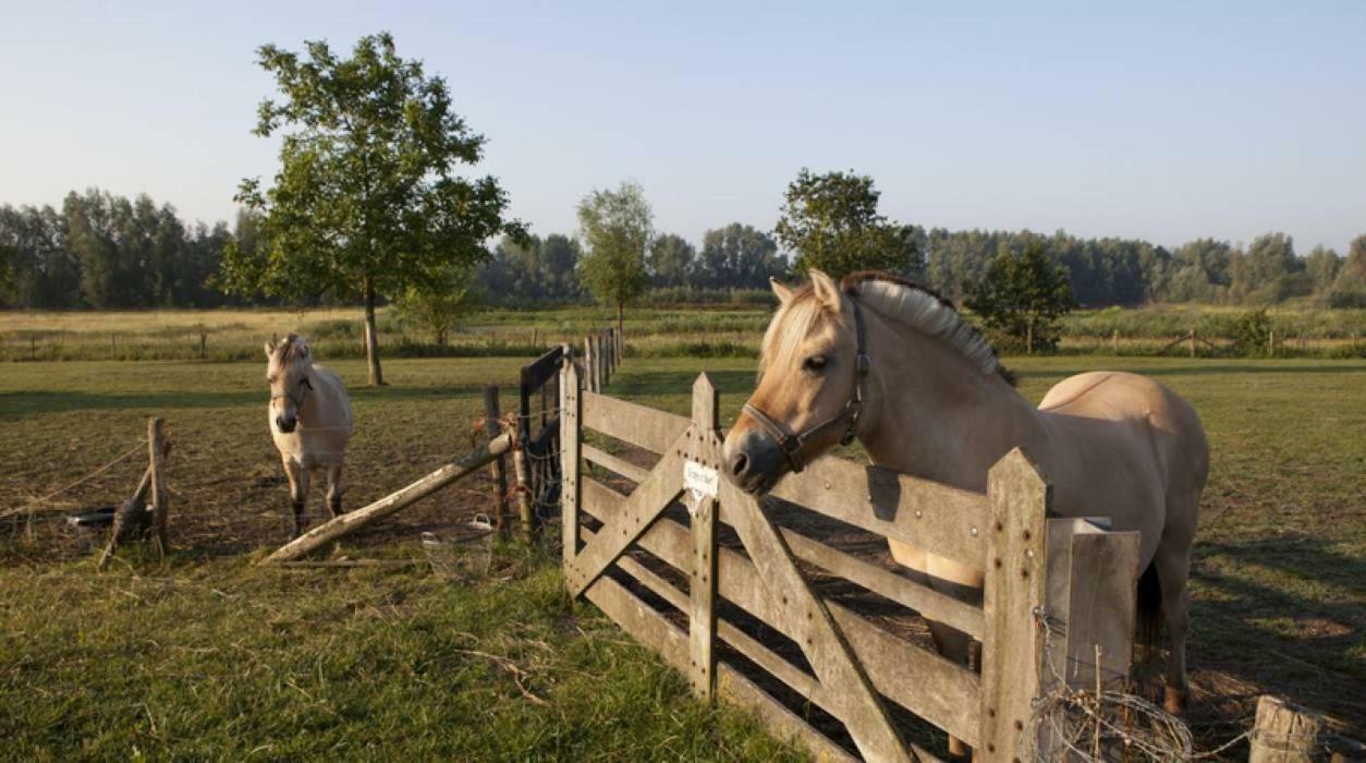 Hoeve De Pippert Hotel Ophemert Eksteriør billede